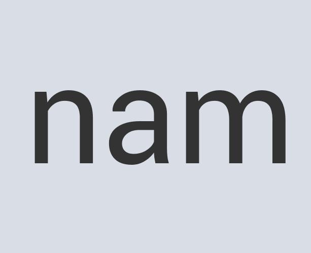 Aerodynamic Iron Flying Monk