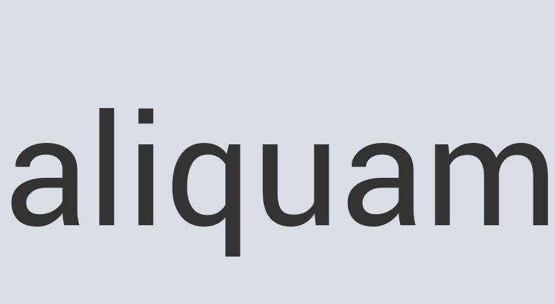 Heavy Duty Steel Rug Rockers