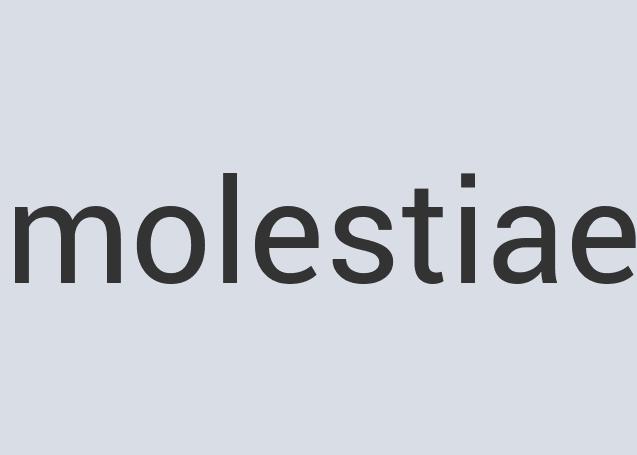 Durable Silk Loose Leeches