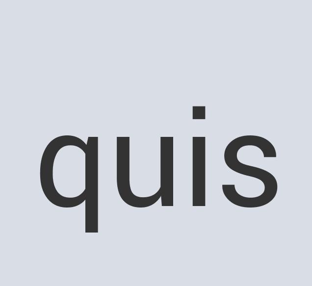 Heavy Duty Granite Shameless Flu Waistcoat